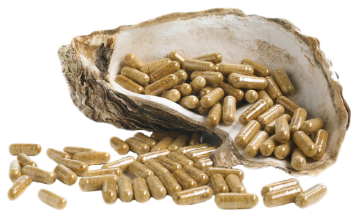 Oystermax Oyster Extract Powder Capules - Oyster Powder (640x412), Png Download