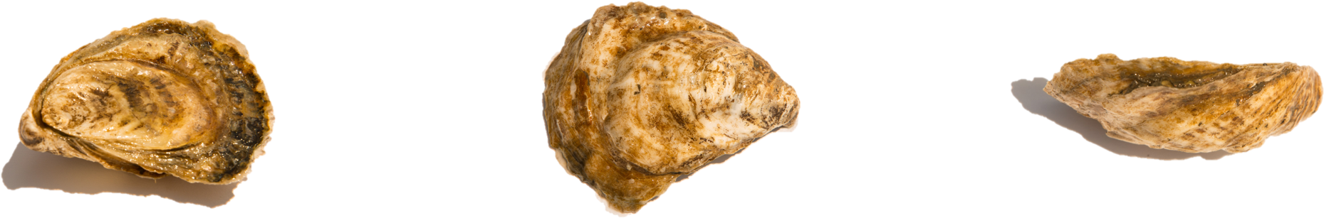 Igneous Rock (1960x529), Png Download