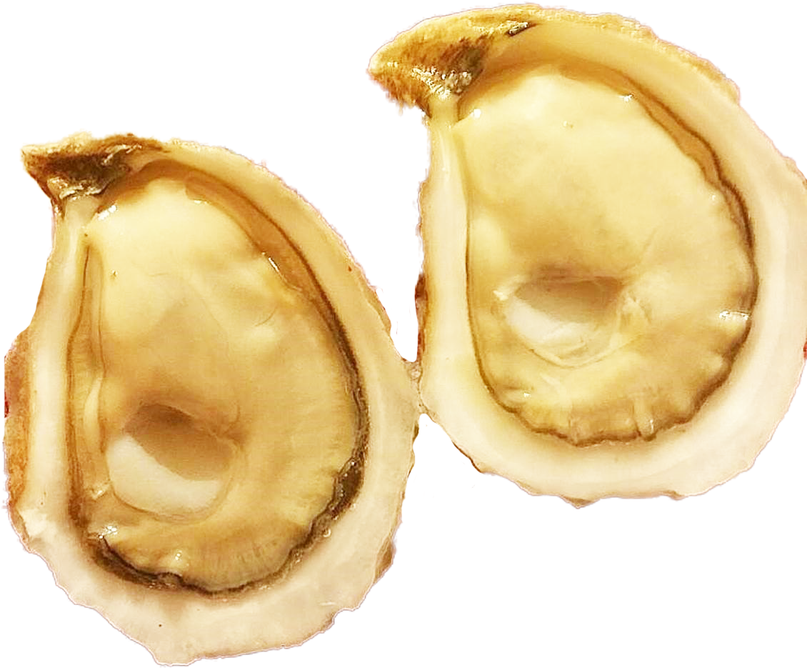 Now Available Savage Blonde Oysters From Pei Premium - Tiostrea Chilensis (1130x1130), Png Download