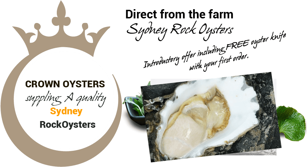 Crown Oysters (1000x545), Png Download