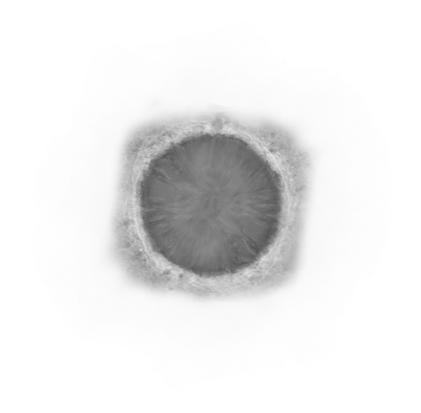 Here Are Some Photoshop Brushes That Can Be Used To - Portable Network Graphics (1600x1600), Png Download