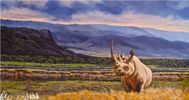 Indian Rhinoceros (800x600), Png Download