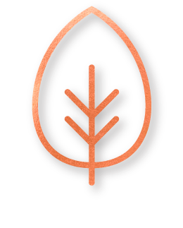 Allotment Vegan Restaurant Manchester - Logo (412x358), Png Download