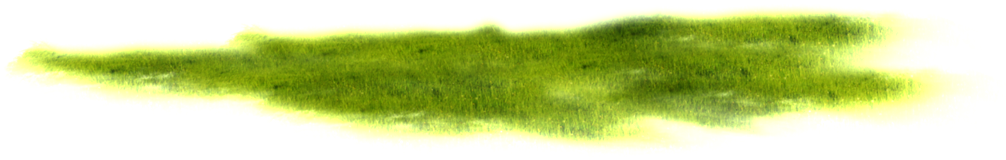 Grass (1024x1024), Png Download