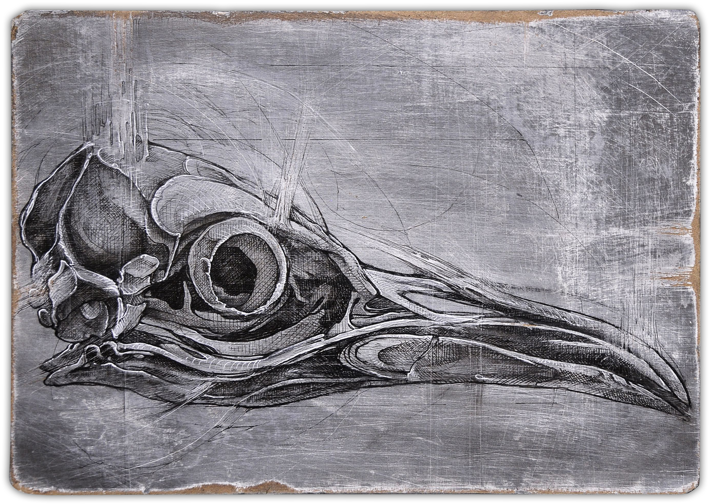 Evolution Serie - Horror (1460x1067), Png Download