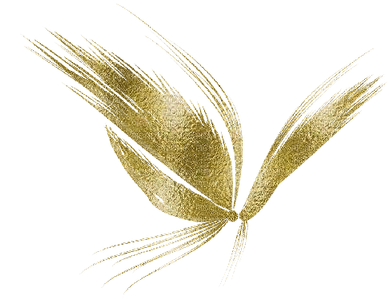 Mariposa Dorada - Png Alas De Hada (400x302), Png Download