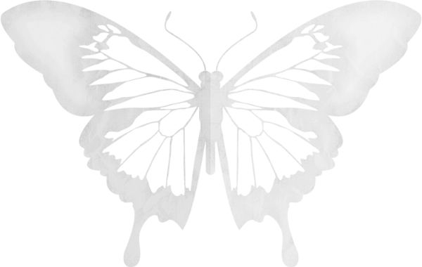 Butterfly (600x380), Png Download