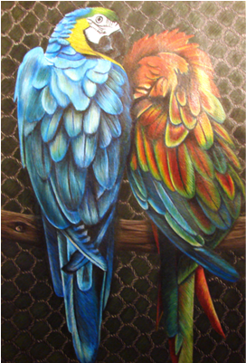 Thumb - Macaw (400x400), Png Download