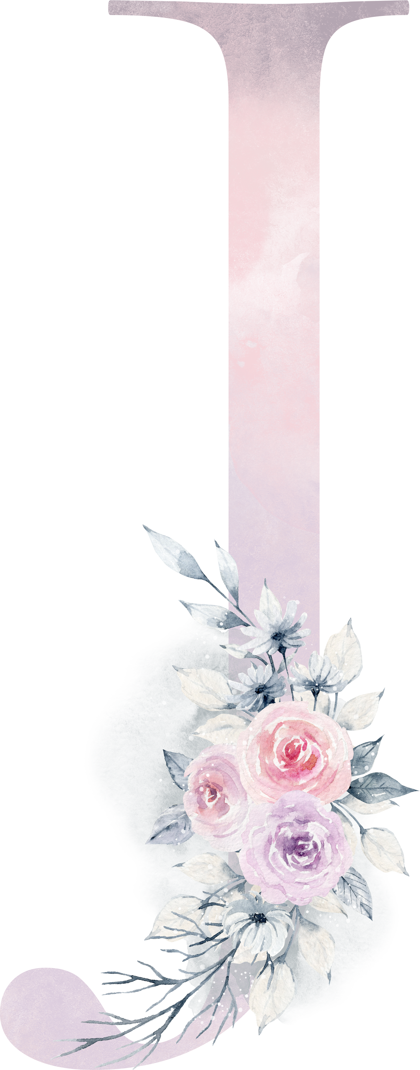 J - Garden Roses (1424x3622), Png Download