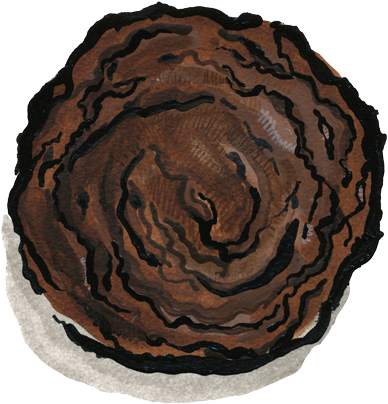 Triple Trouble Chocolate Cookie - Chocolate Cake (400x418), Png Download