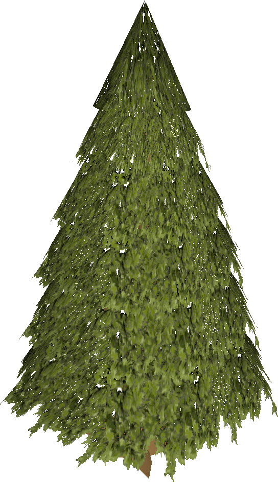 Evergreen (544x944), Png Download