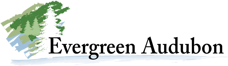 Community & Civic Organizations - Morning & Evening [book] (800x295), Png Download