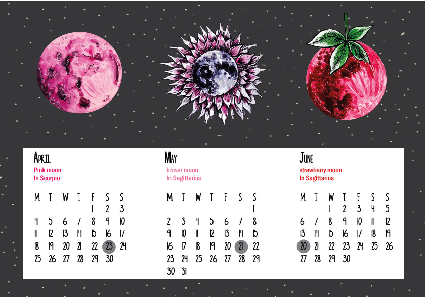 Full Moon Calender Of - Strawberry (842x588), Png Download