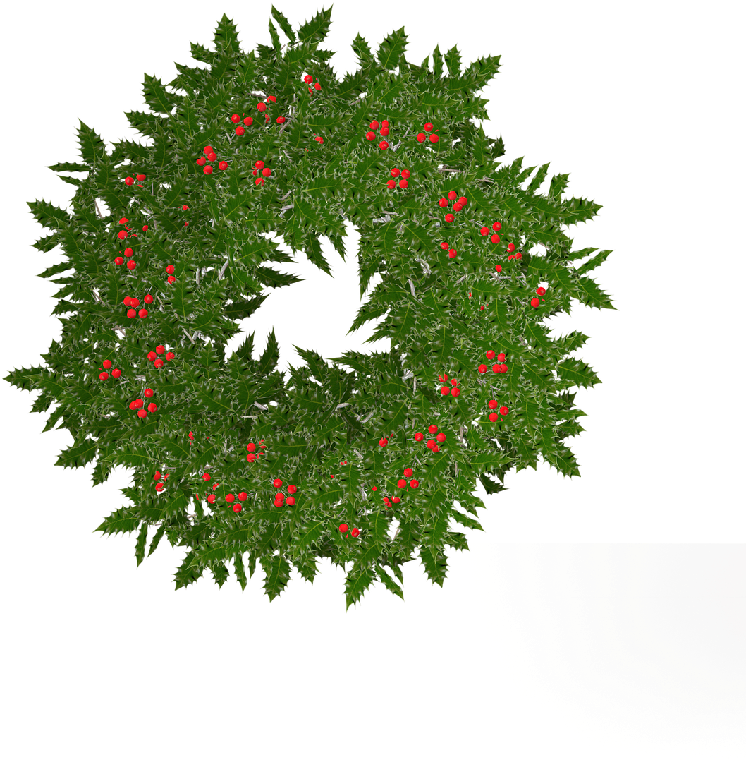 Kennebec Land Trust Hosts Sustainable Balsam Tipping, - Wreath (1280x1280), Png Download