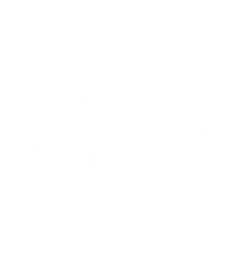 Para Motores Con Alto Kilometraje - Twitter White Icon Png (363x399), Png Download