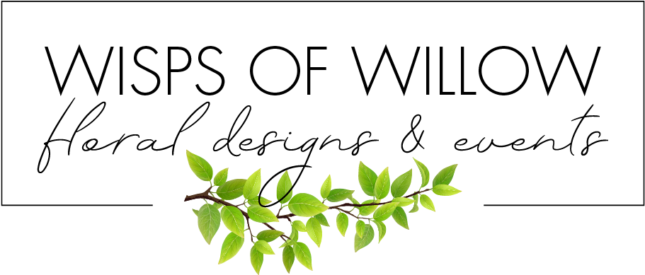 Wisps Of Willow - Calligraphy (1000x428), Png Download