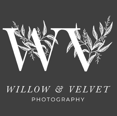 Willow & Velvet Photography (400x395), Png Download