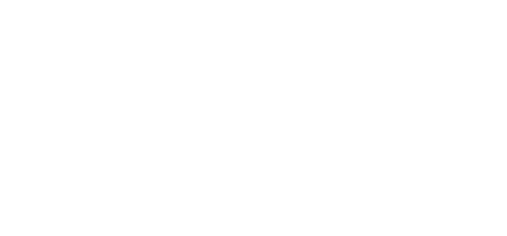 Willow Png (1000x488), Png Download
