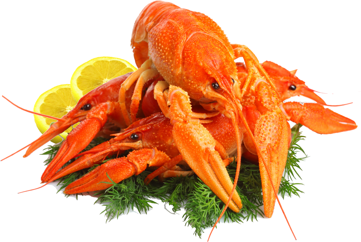 Themed “connecting World Seafood With The Pacific”, - Seafood Png (1280x904), Png Download