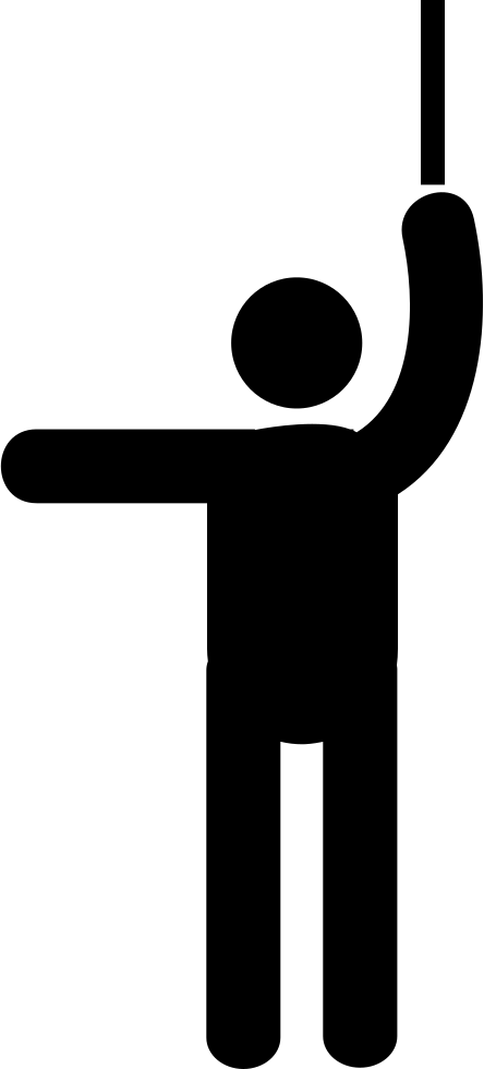 Orchestra Director Comments - Conductor (444x980), Png Download