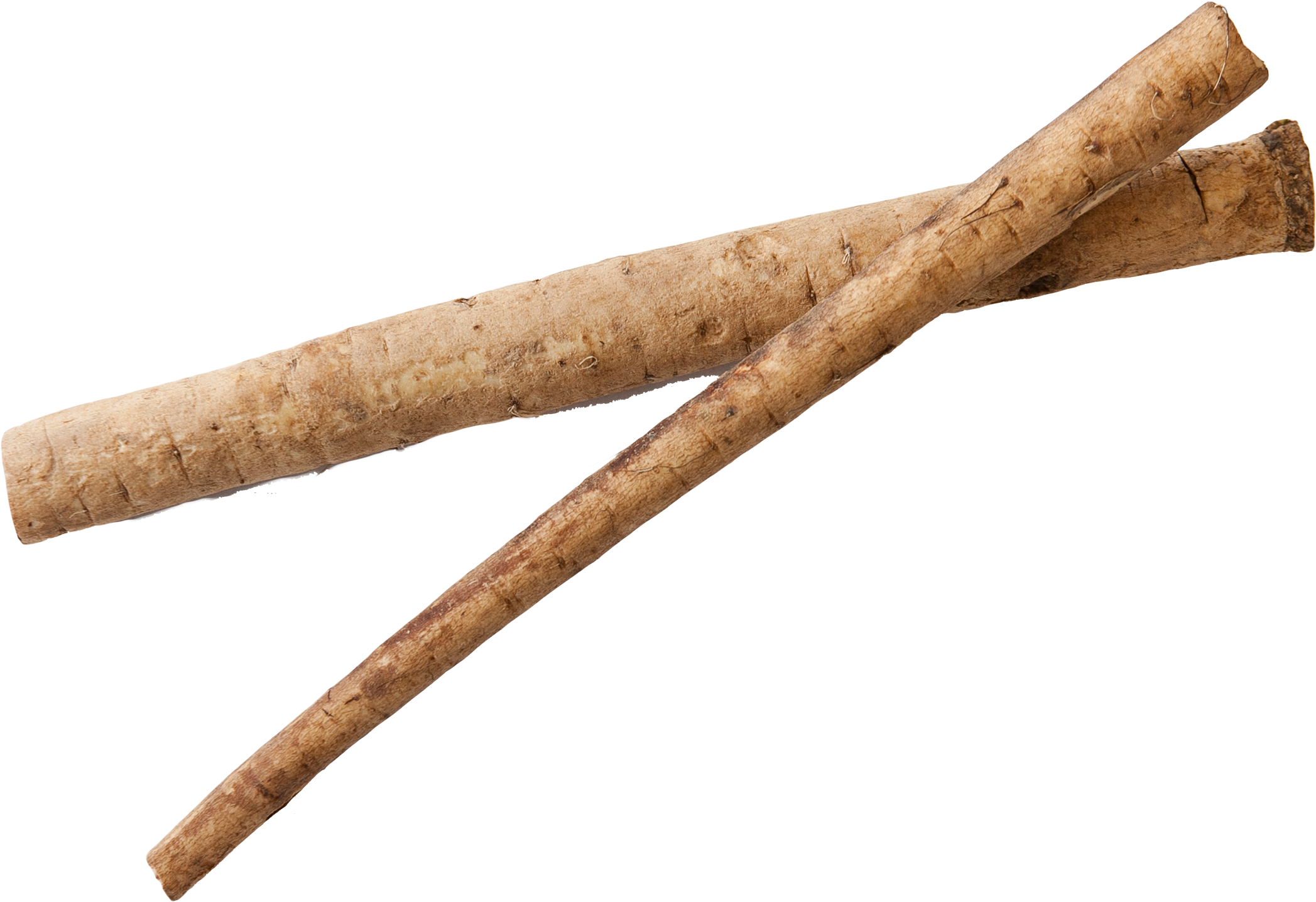 Burdock Root Png Image - Burdock Png (2368x1616), Png Download