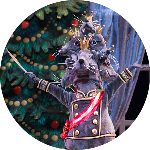 Mouse King Pnb Pinterest Dancing - The Nutcracker (600x600), Png Download