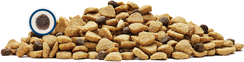 Exclusive Lifesource Bits® - Blue Wilderness High Protein Grain Free Adult Dry Dog (888x411), Png Download