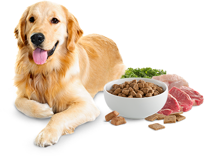 Get Dog Food For A Discount - Dogs Food Vegetables Meat And Grain (435x335), Png Download