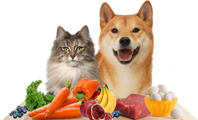Human Food Made For Pets - Journal: Cat Inspired Cover (series #10) (notebook, (719x420), Png Download