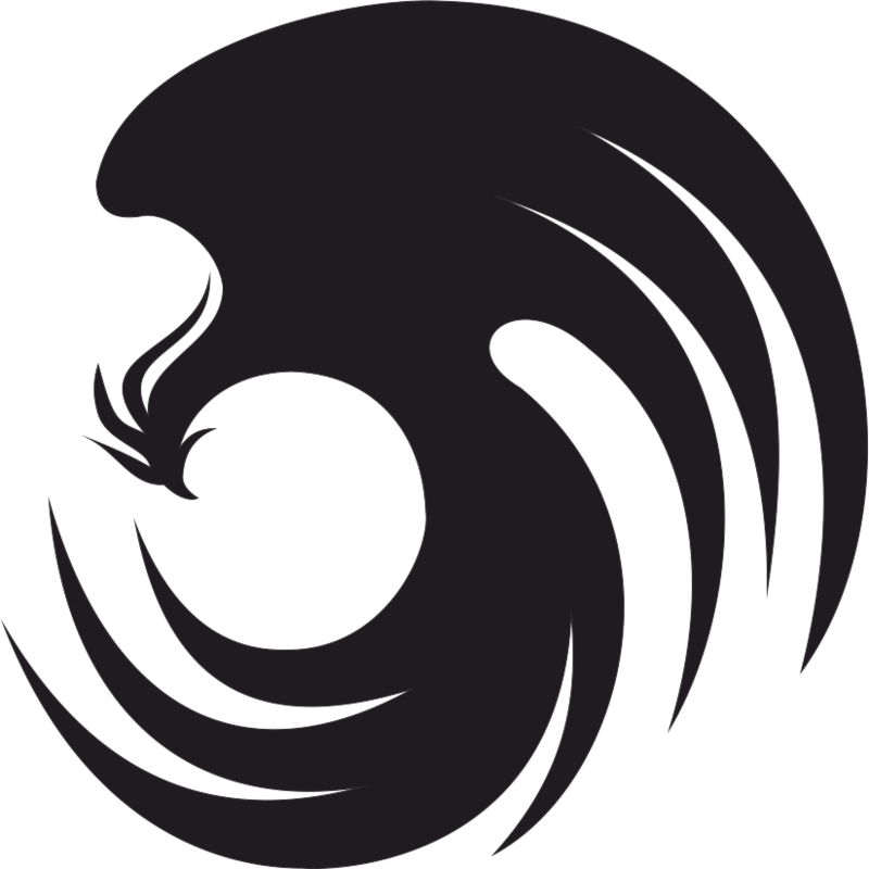 Ace Combat 2 Phoenix Emblem Clean By Godrugalultimate-daqb3zb - Ace Combat 2 Logo (800x800), Png Download
