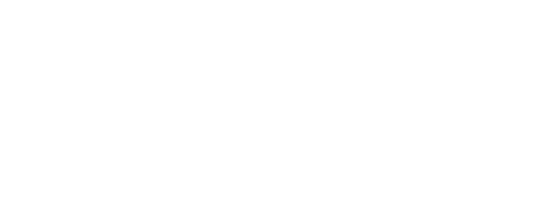 The Phoenix Program Is A Multi-purpose Support Program - Phoenix Name Meaning (700x308), Png Download