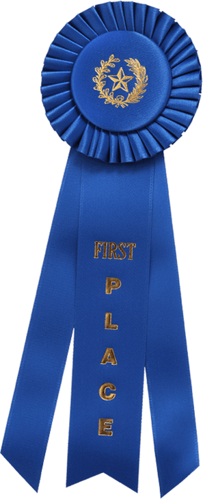 Warmblood Horses For Sale Near Chicago, - Horses First Place Ribbon (297x729), Png Download
