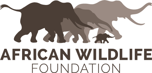 Awf Logo - African Wildlife Foundation (523x250), Png Download