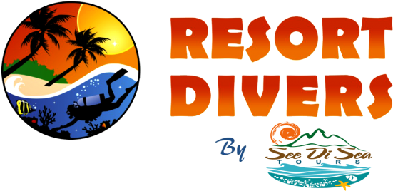 Com/wp Rd See Di Sea Logo - Not My Weekend But It's (599x300), Png Download