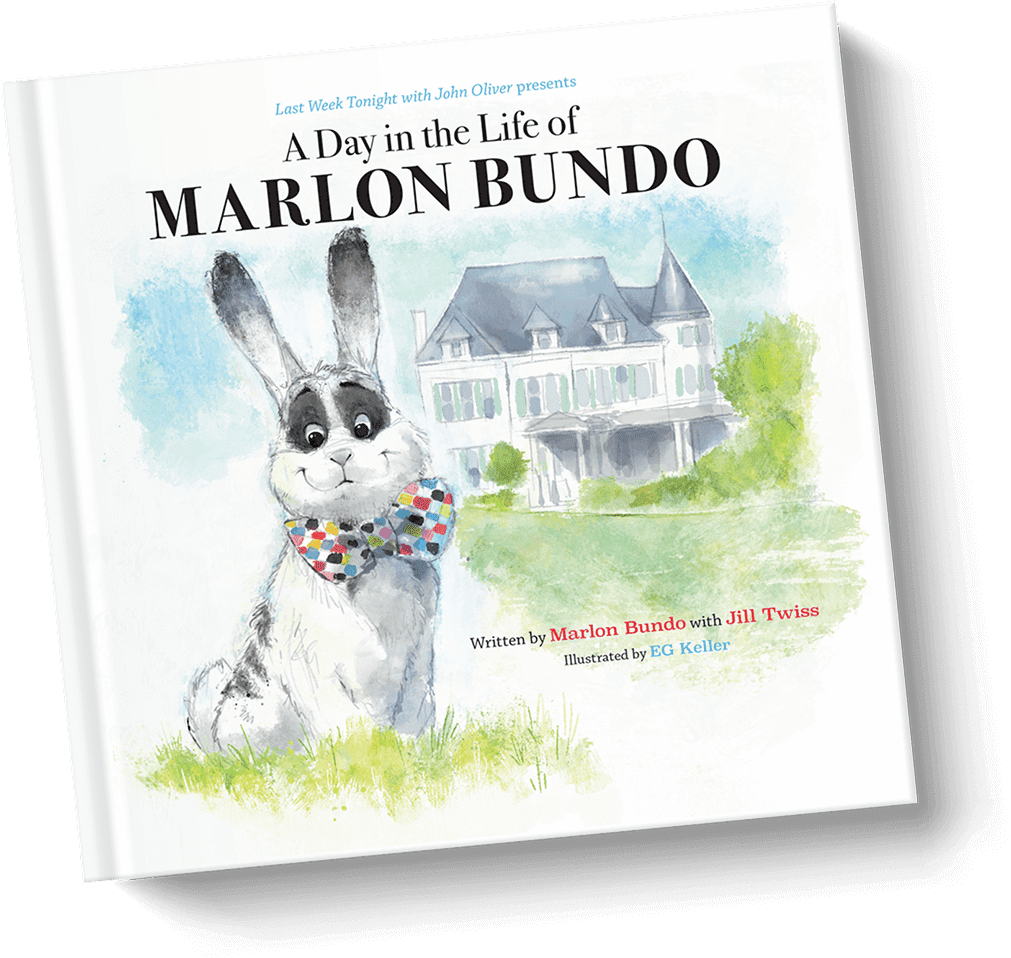 Go Order This Book - Mike Pence Gay Bunny (1011x958), Png Download