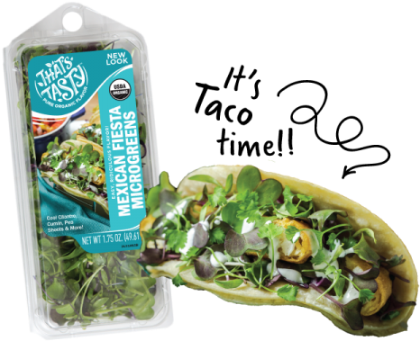 Organic Microgreens - Side Dish (480x384), Png Download