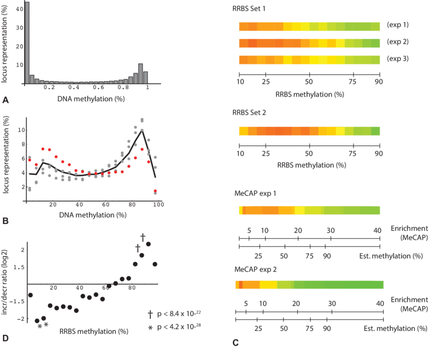 Percentage Of Loci Binned By Dna Methylation For All - Methylation (850x694), Png Download