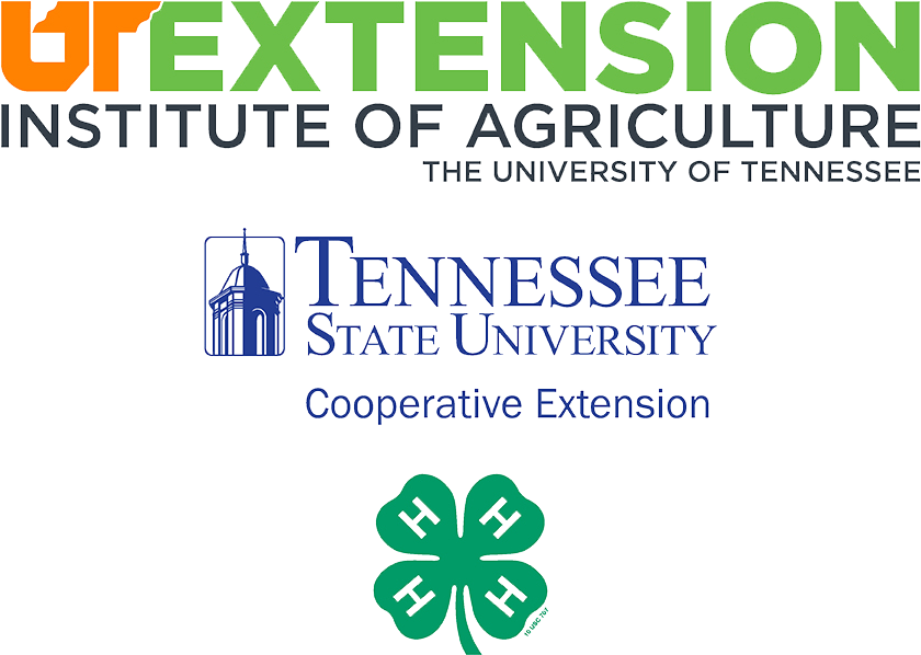 Ut Tsu 4h Avatar White - Family And Consumer Sciences Ut Extension (892x652), Png Download