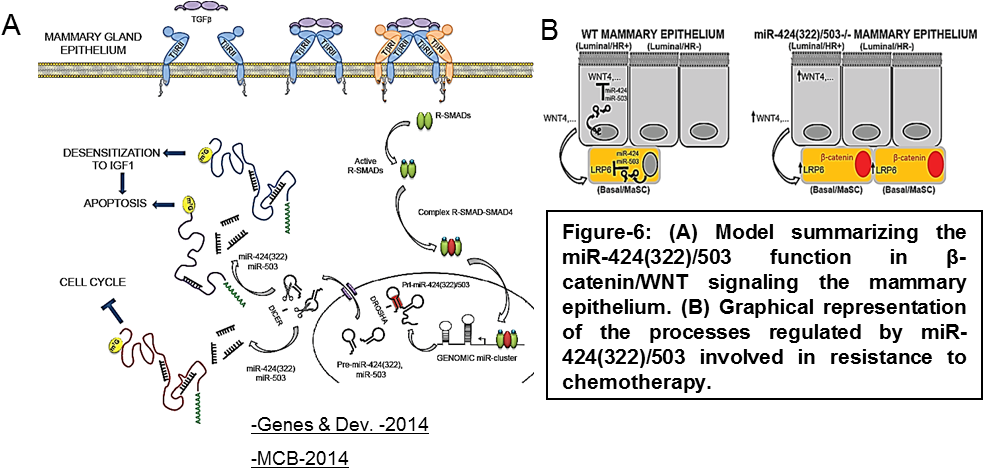 Picture2 - Diagram (999x484), Png Download