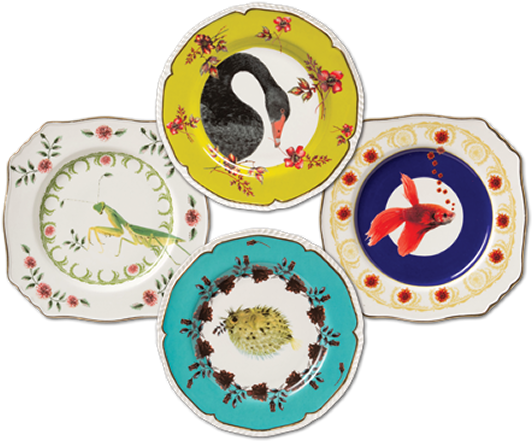 Four Vintage Style Dessert Plate With Brightly Coloured - Lou Rota Plates (560x471), Png Download