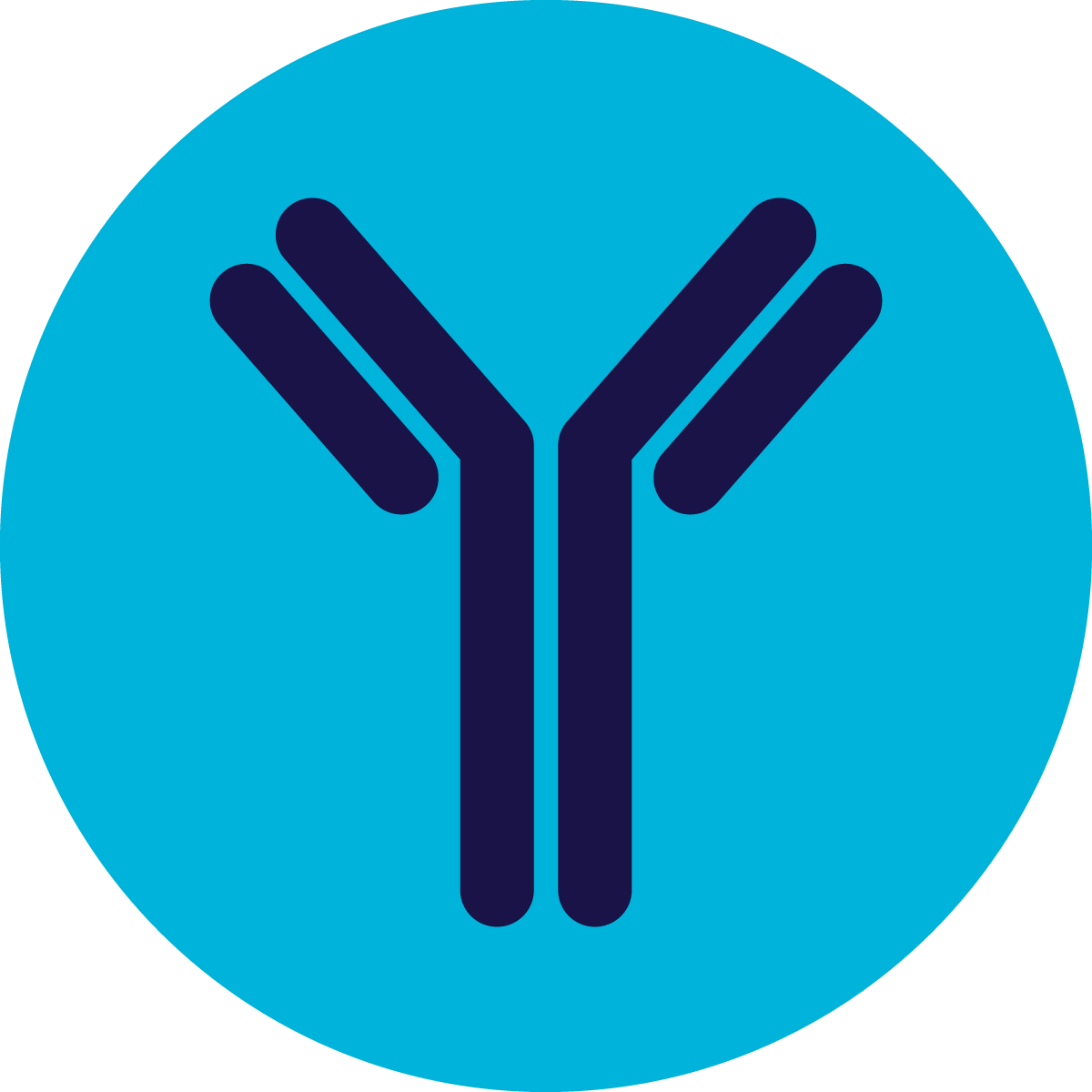 Crysvita Is An Antibody That Helps Restore The Balance - Antibody (1200x1200), Png Download