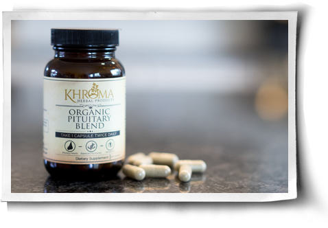 Thank You, Khroma Herbal Products Post Image - Khroma Herbal Products Organic Pituitary Blend - 60 (500x344), Png Download
