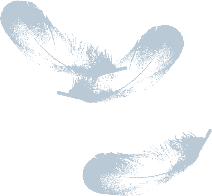 Plumed Horse - Illustration (769x746), Png Download