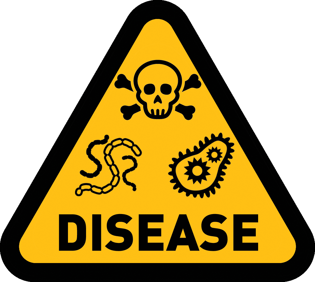 Disease Png Pic - Chester Public Library (1080x967), Png Download