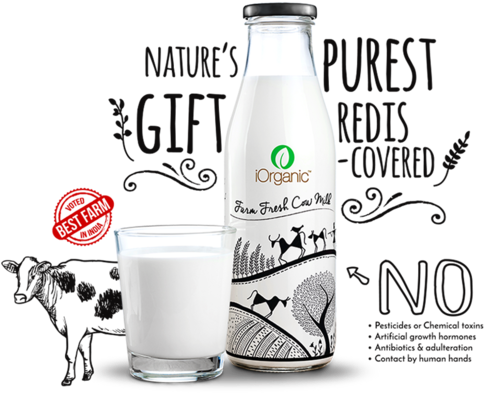 Farm Fresh Cow Milk (500x400), Png Download