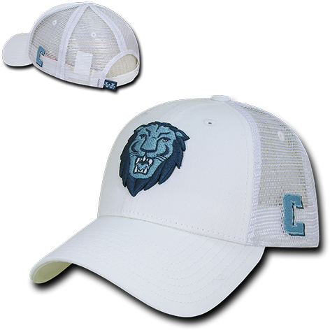 Ion College Columbia University Instrucktion Hat - Columbia Lions (500x500), Png Download