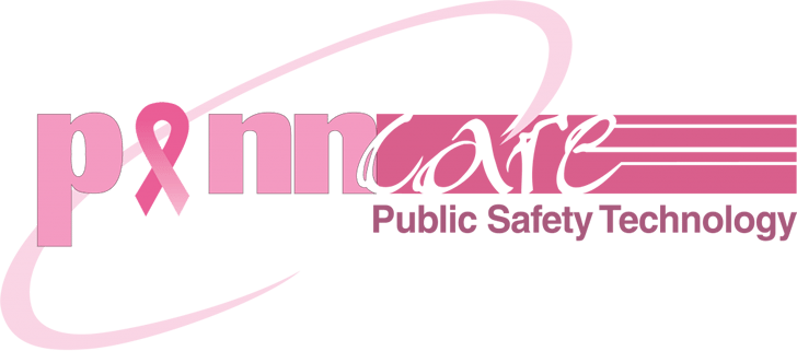 Bca Pink Logo 728×321 - Calligraphy (728x321), Png Download