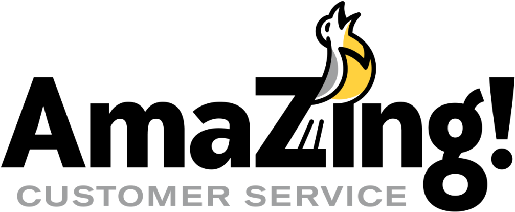 Amazing Customer Service Order Inquiry - Amazing Customer Service (1024x427), Png Download