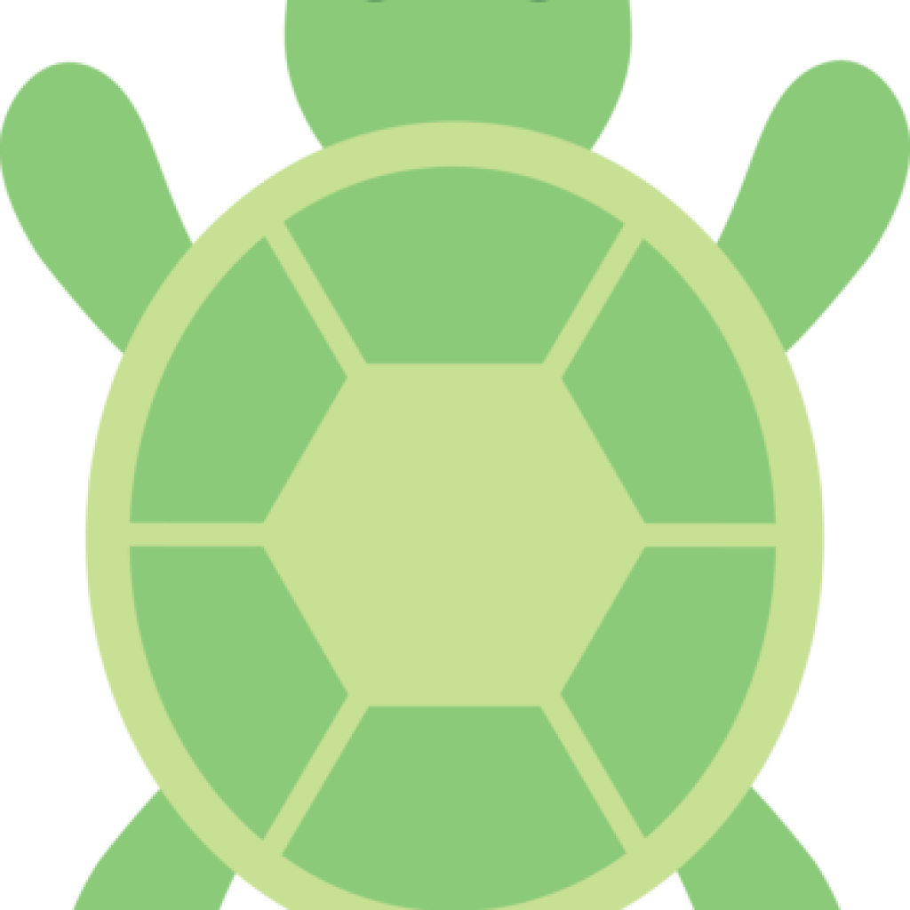 Green Clipart Cute - Turtle (1024x1024), Png Download