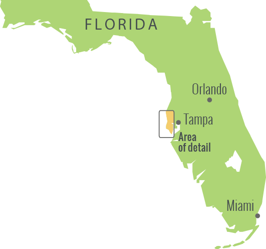 Florida Map Map Of Florida Cities Map Of Florida Counties - St Petersburg Florida Map (531x496), Png Download